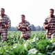O Brother, Where Art Thou?